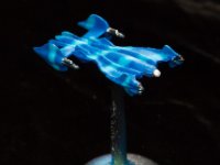minbari  (2 of 8)